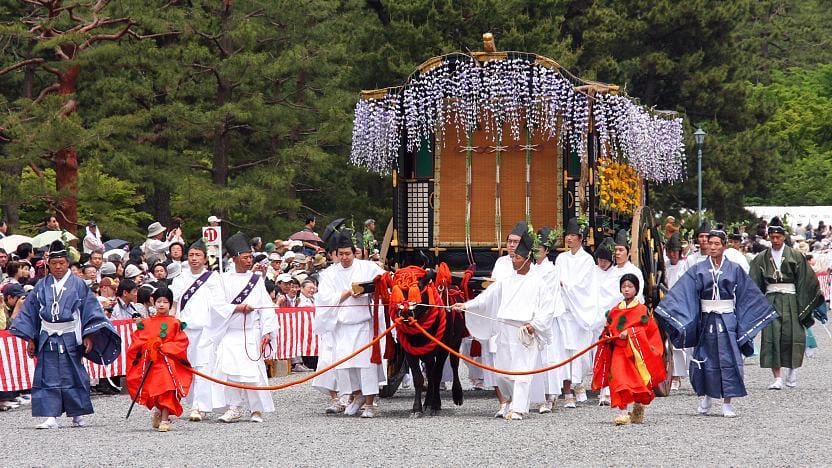 Aoi Festival