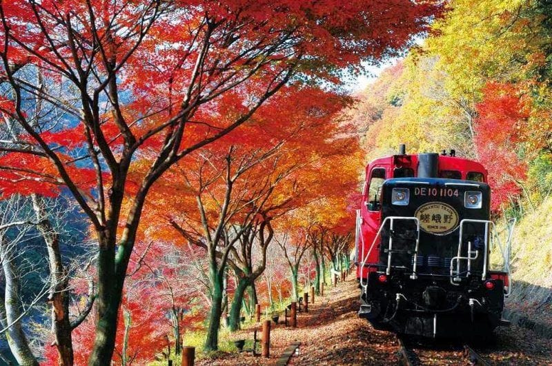 Berwisata ke Kyoto dengan Naik Kereta Wisata Sagano