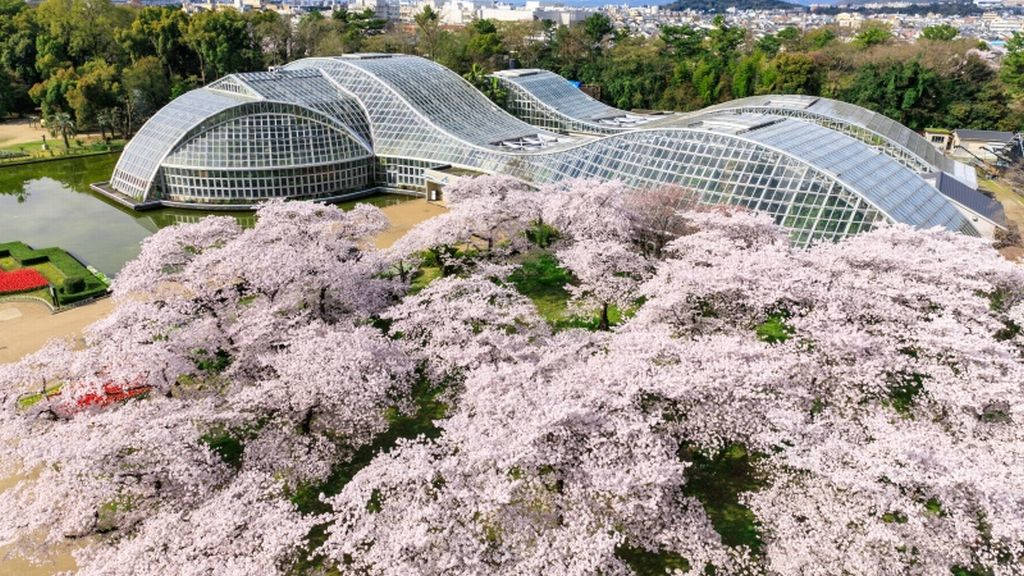 Taman Botani Kyoto Saat Musim Semi