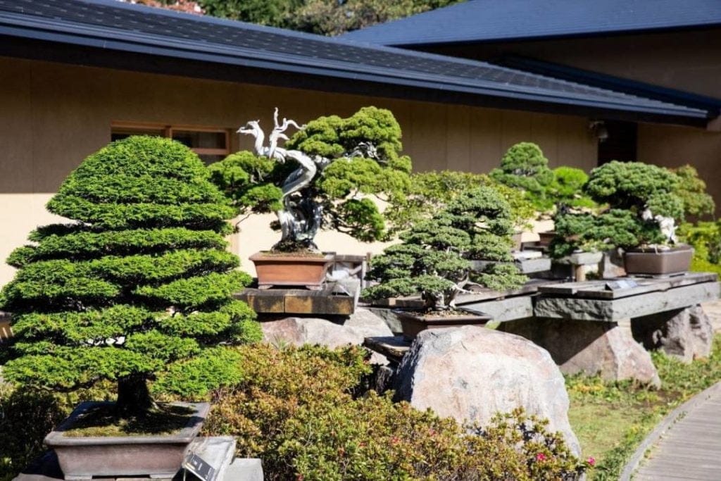 Museum Bonsai Omiya