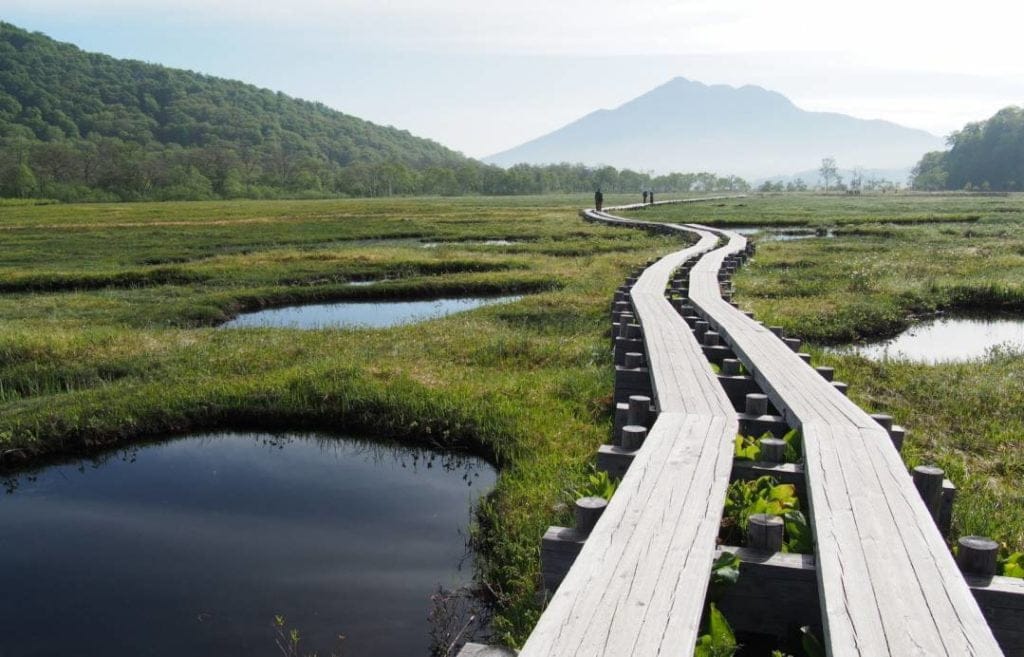 Oze National Park