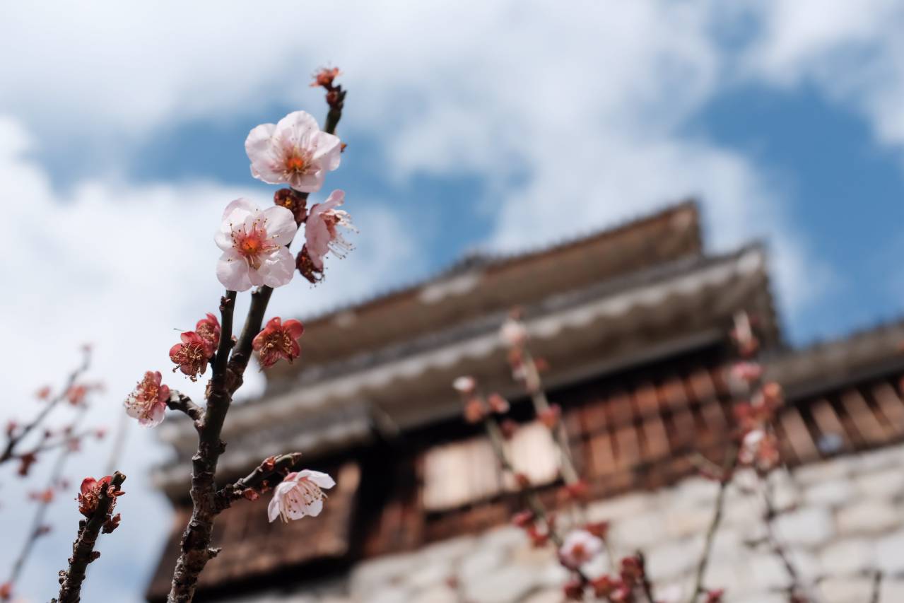 Matsuyama Castle