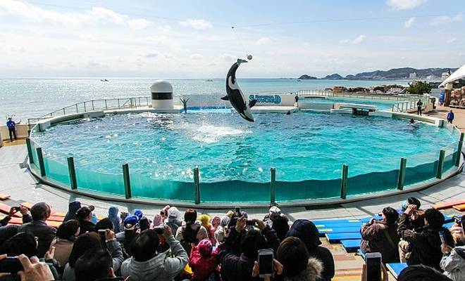 Kamogawa Seaworld