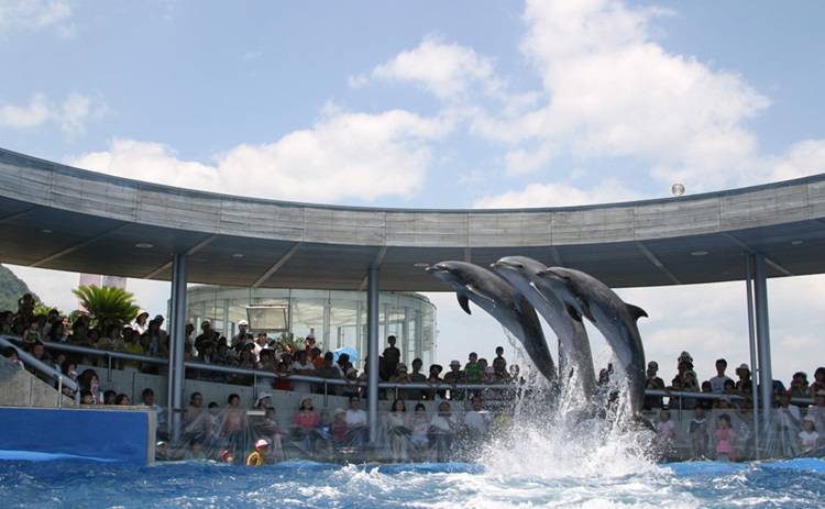 Oita Marine Palace