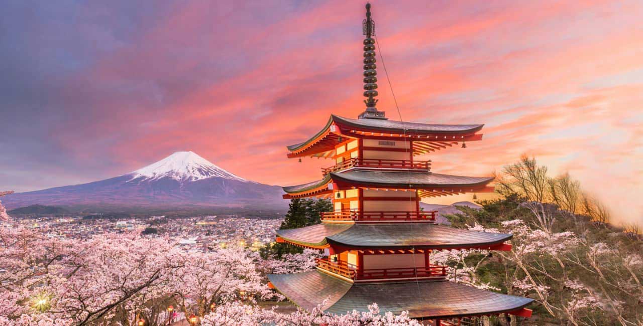 paket tour harian tokyo jepang