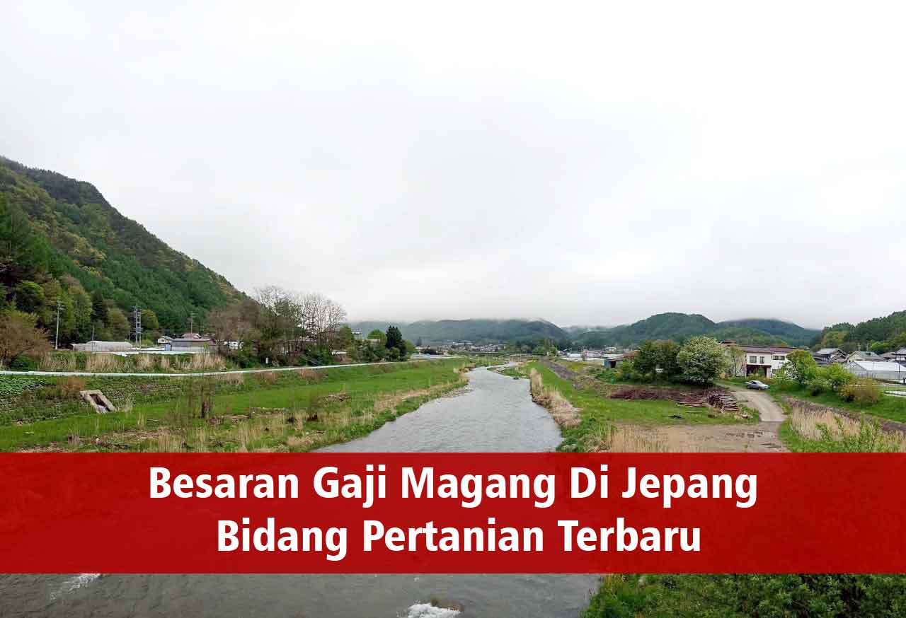 Besaran Gaji Magang Di Jepang Bidang Pertanian