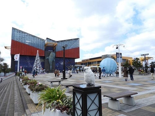 Osaka Aquarium