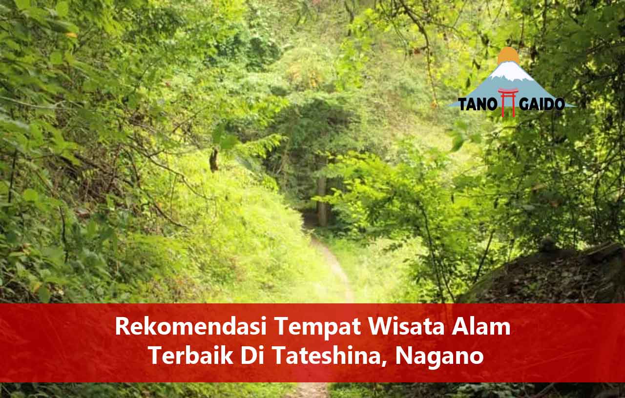 Tempat Wisata Alam Terbaik Di Tateshina, Nagano