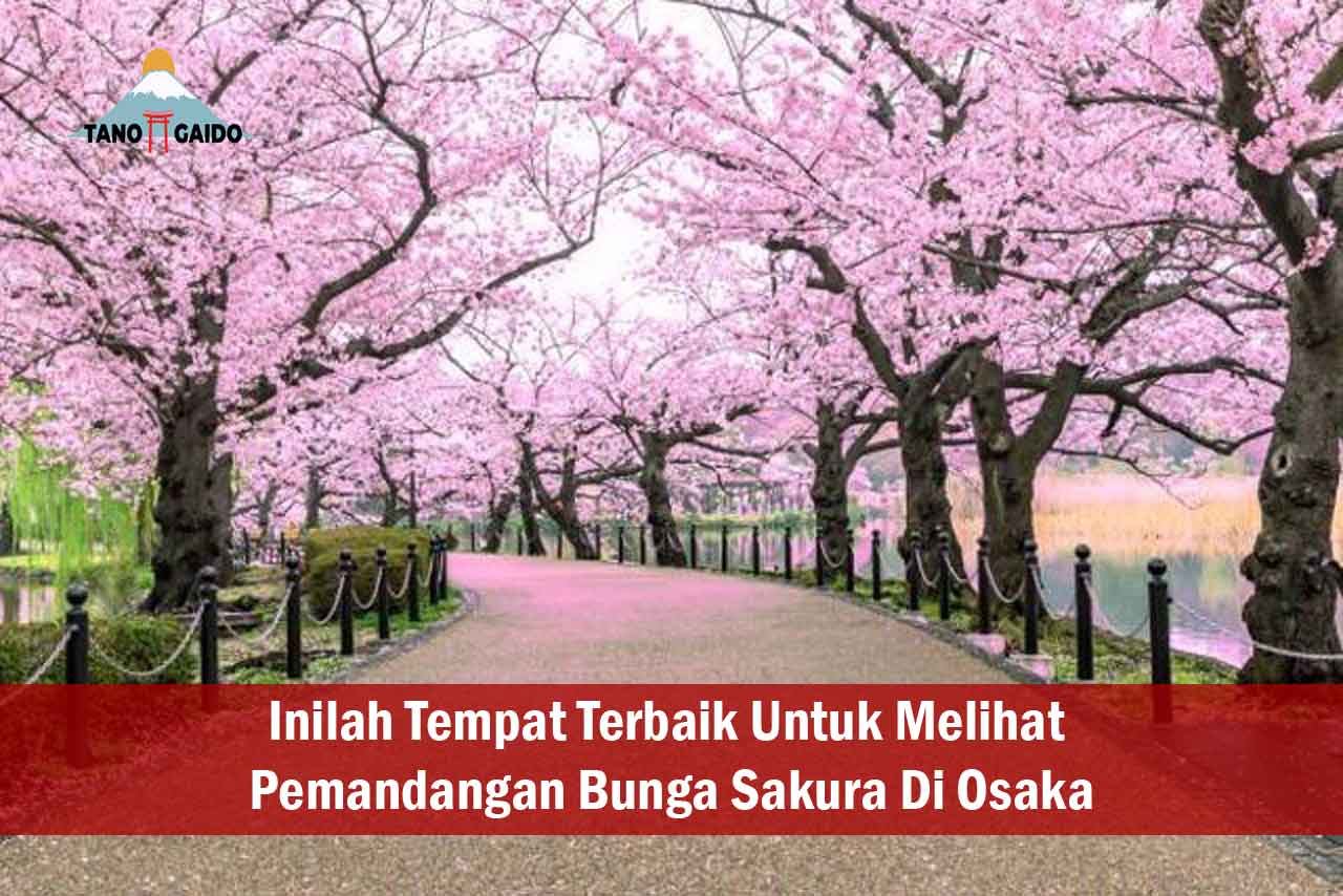 Tempat Terbaik Untuk Melihat Pemandangan Bunga Sakura Di Osaka