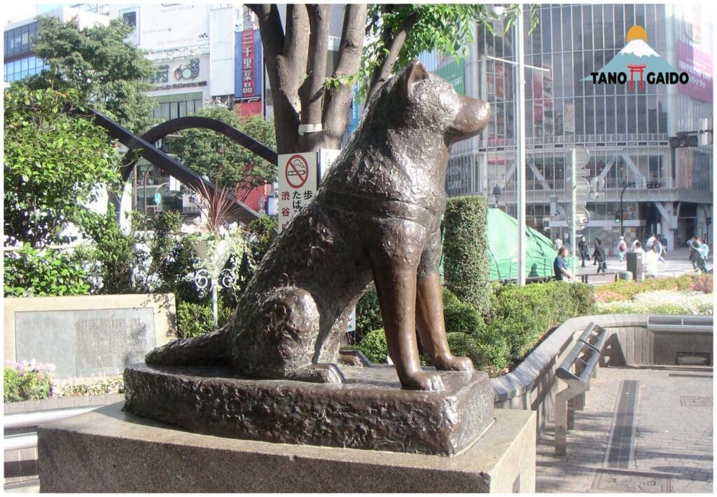 Arca Hachiko