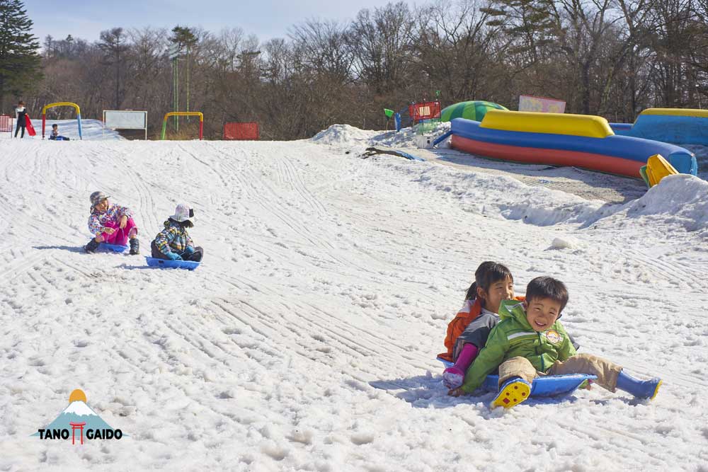 Bermain Sled di Resort Ski Karuizawa Prince