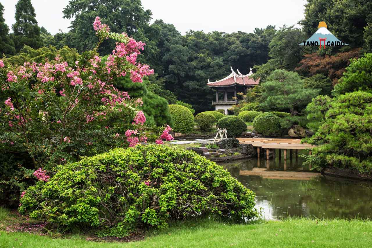 Shinjuku Gyoen National Garden