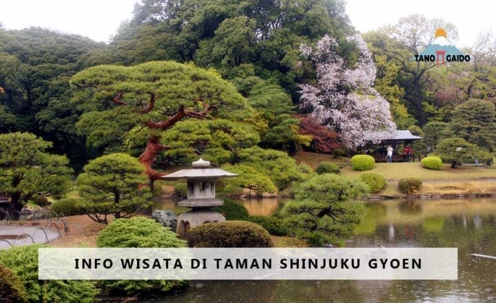 Info Wisata Lengkap Di Taman Shinjuku Gyoen