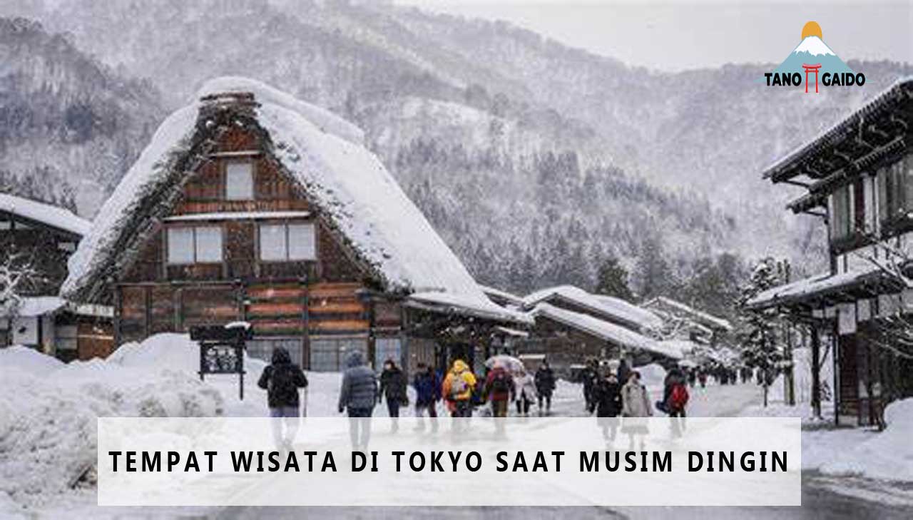 Tempat Wisata di Tokyo Saat Musim Dingin