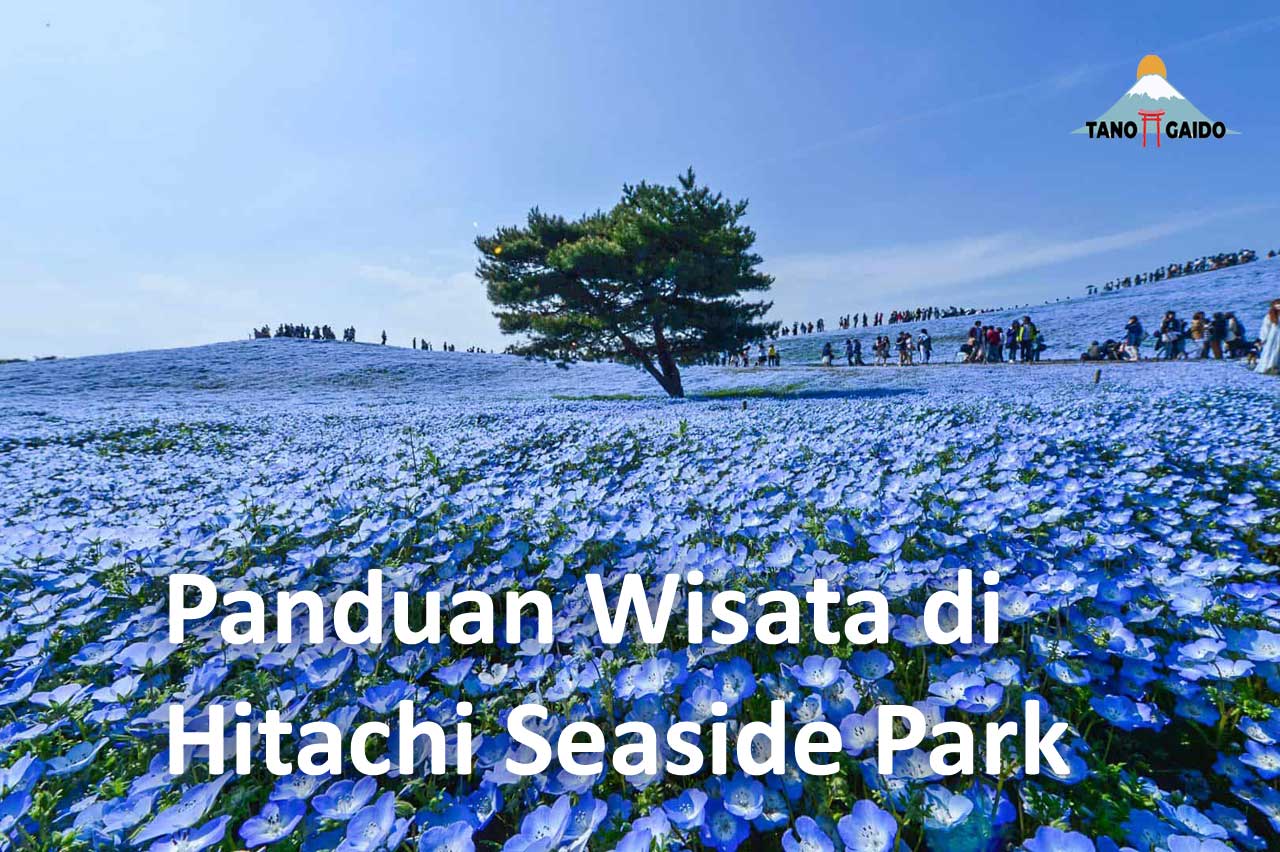 hitachi seaside park