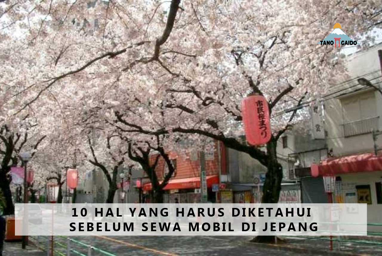 10 Hal yang Harus Diketahui Sebelum Sewa Mobil di Jepang