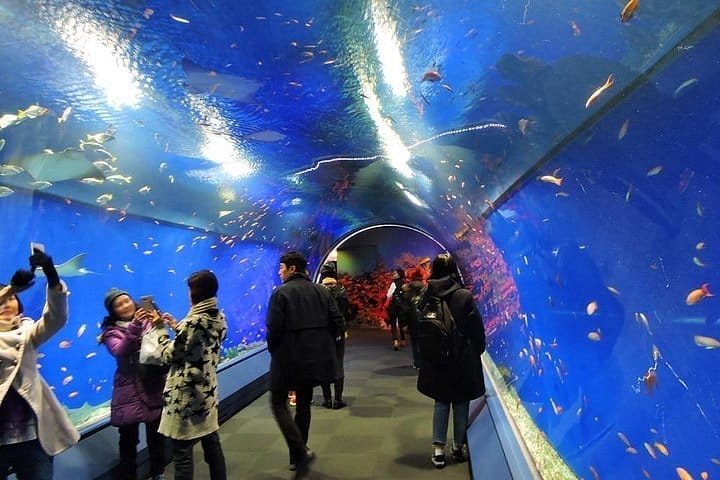 Das Kaiyukan-Aquarium Osaka