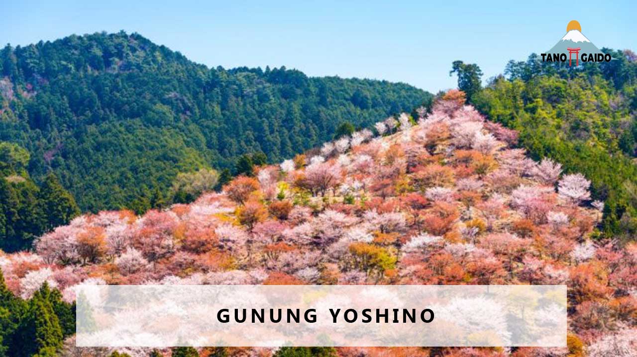 Gunung Yoshino