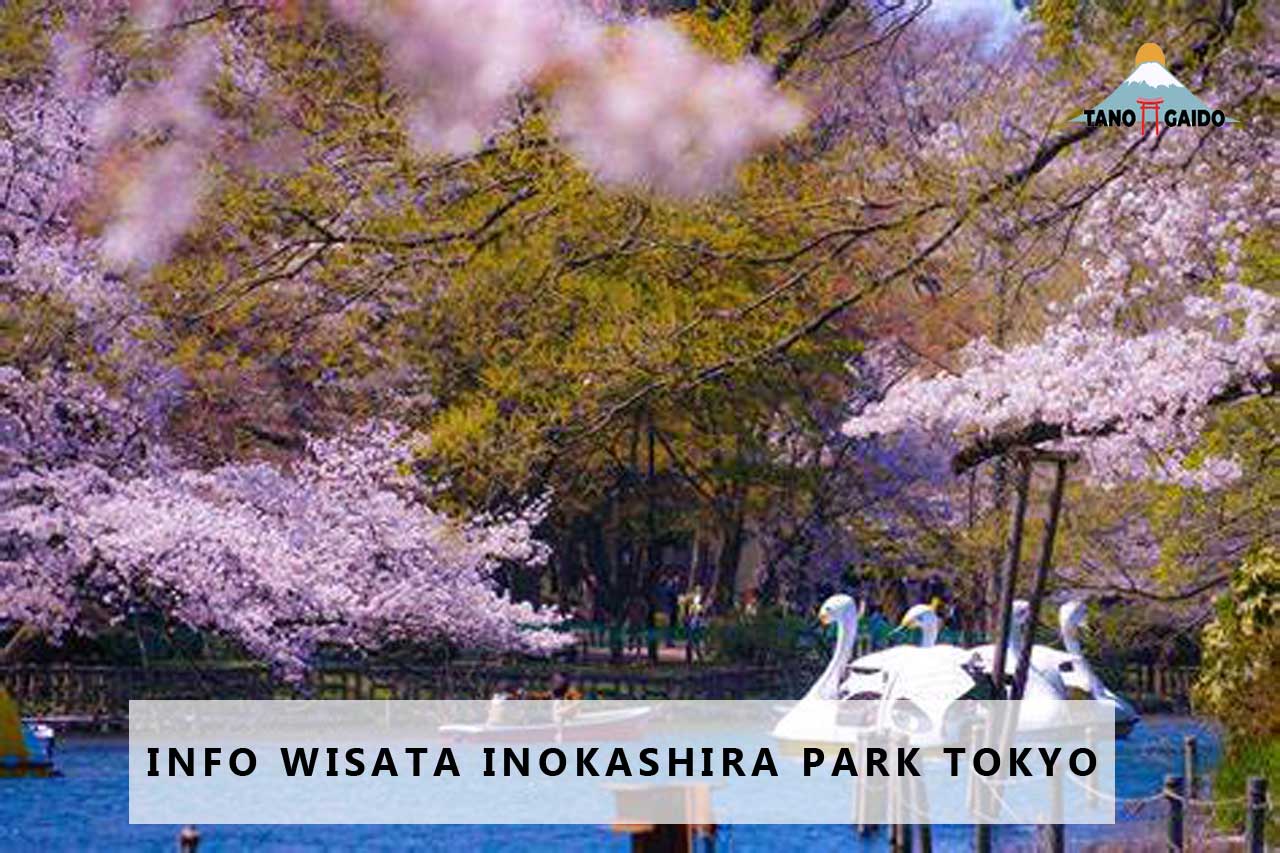 Info Wisata Inokashira Park Tokyo