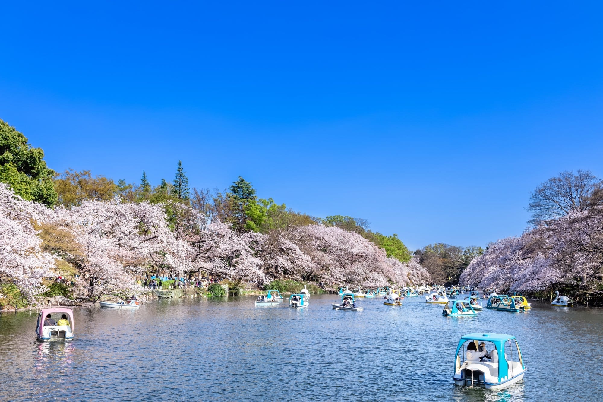 Taman Inokashira