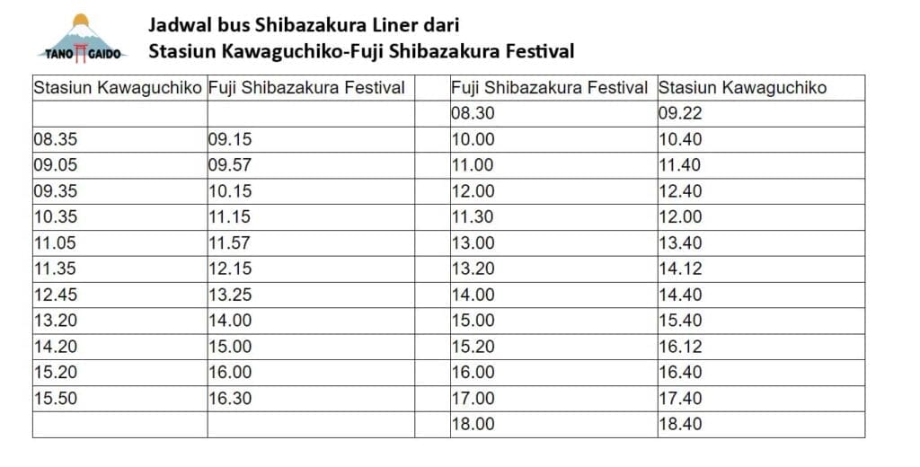 Jadwal bus Shibazakura Liner dari Stasiun Kawaguchiko-Fuji Shibazakura Festival