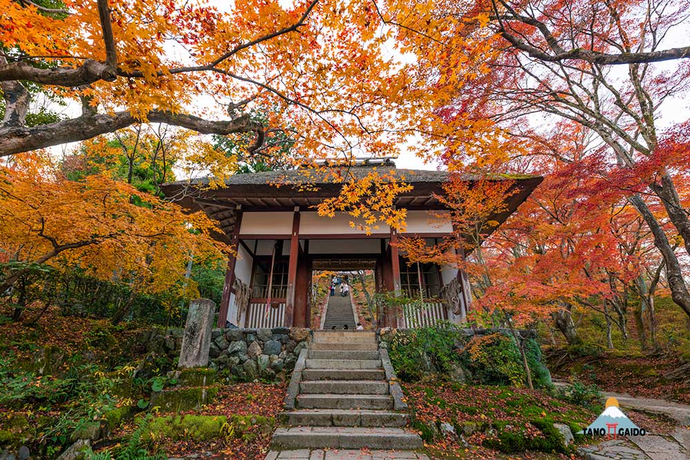 Jojakkoji Temple Kyoto