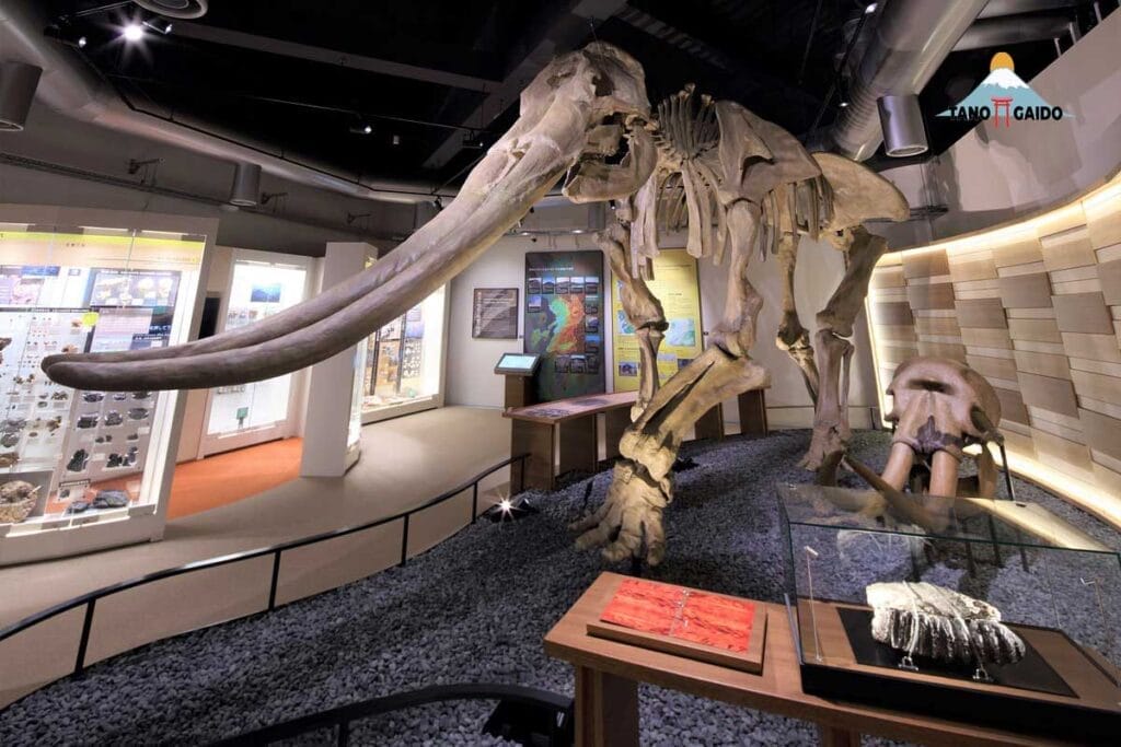 Museum Prefektur Kumamoto