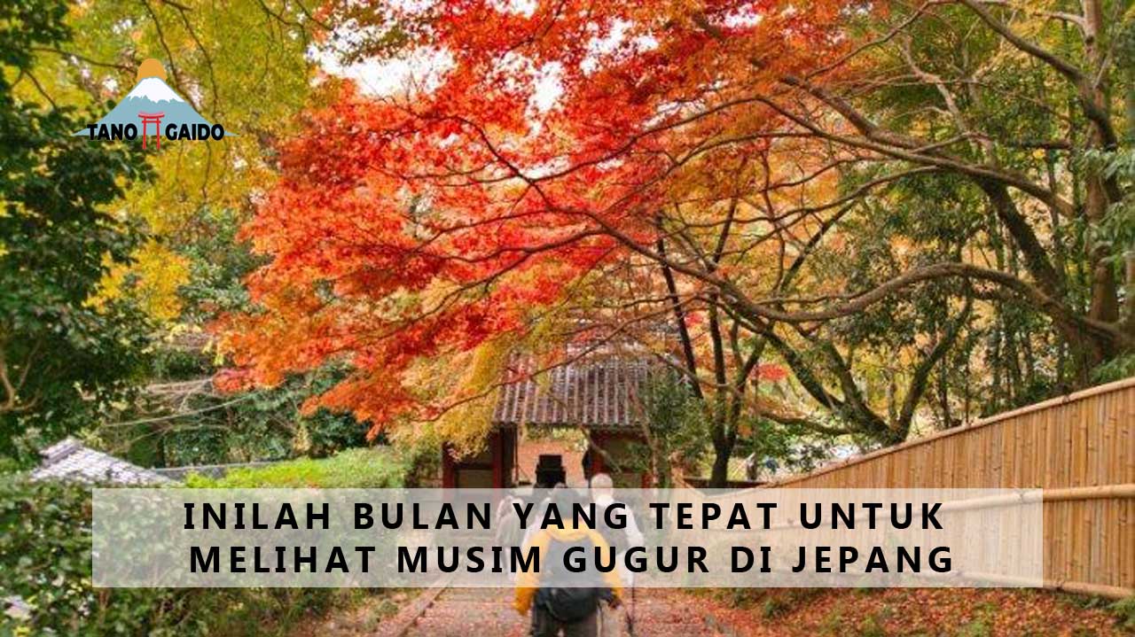 Musim Gugur di Jepang