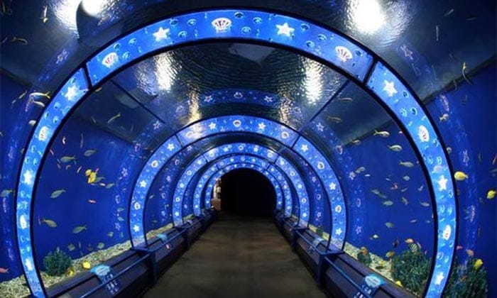 Osaka Aquarium Kaiyukan