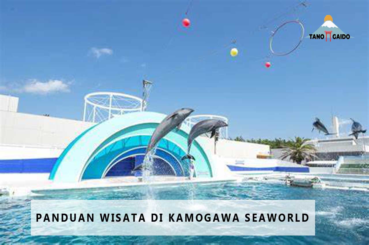 Panduan Wisata di Kamogawa Seaworld