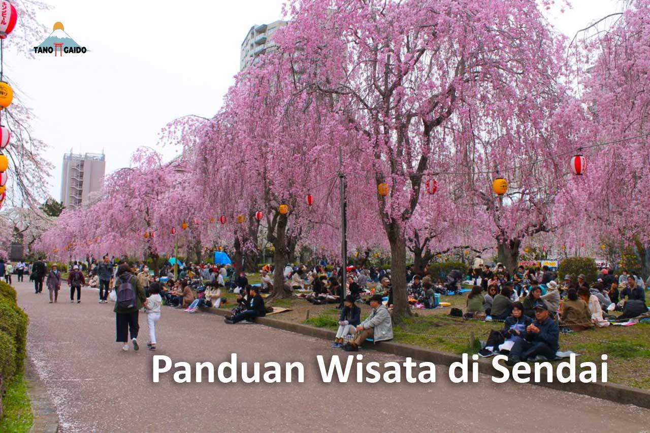 Panduan Wisata di Sendai