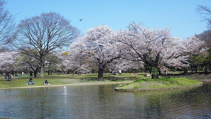 Spot Yoyogi Park (Yoyogi Koen)