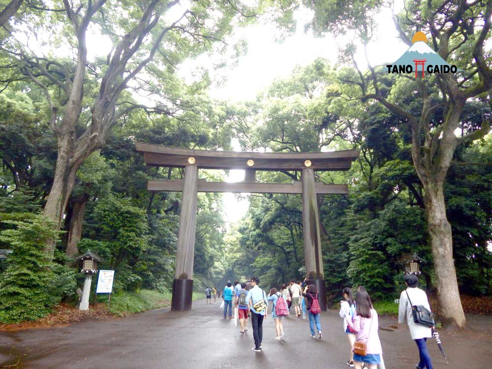 Suasana di Kuil Meiji Jingu