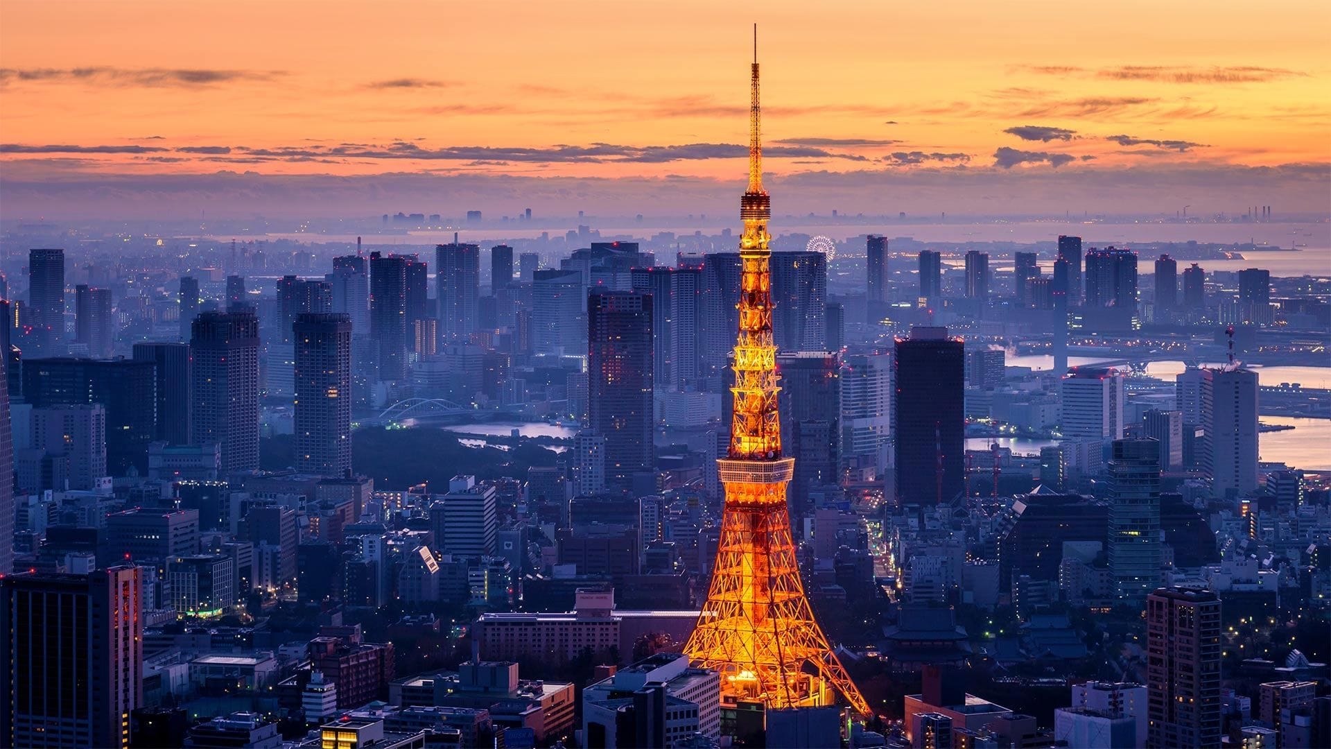 tokyo tower night view