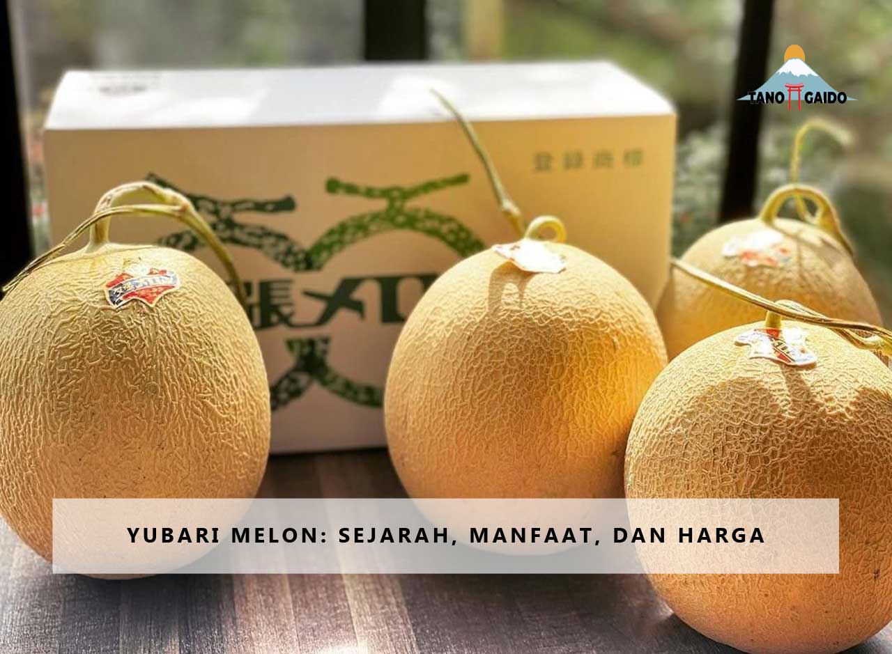 yubari melon