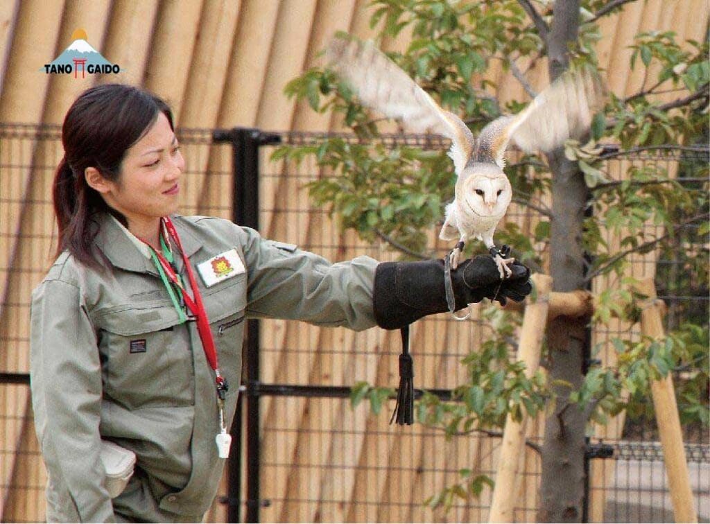 Atraksi burung di Zoorasia Yokohama