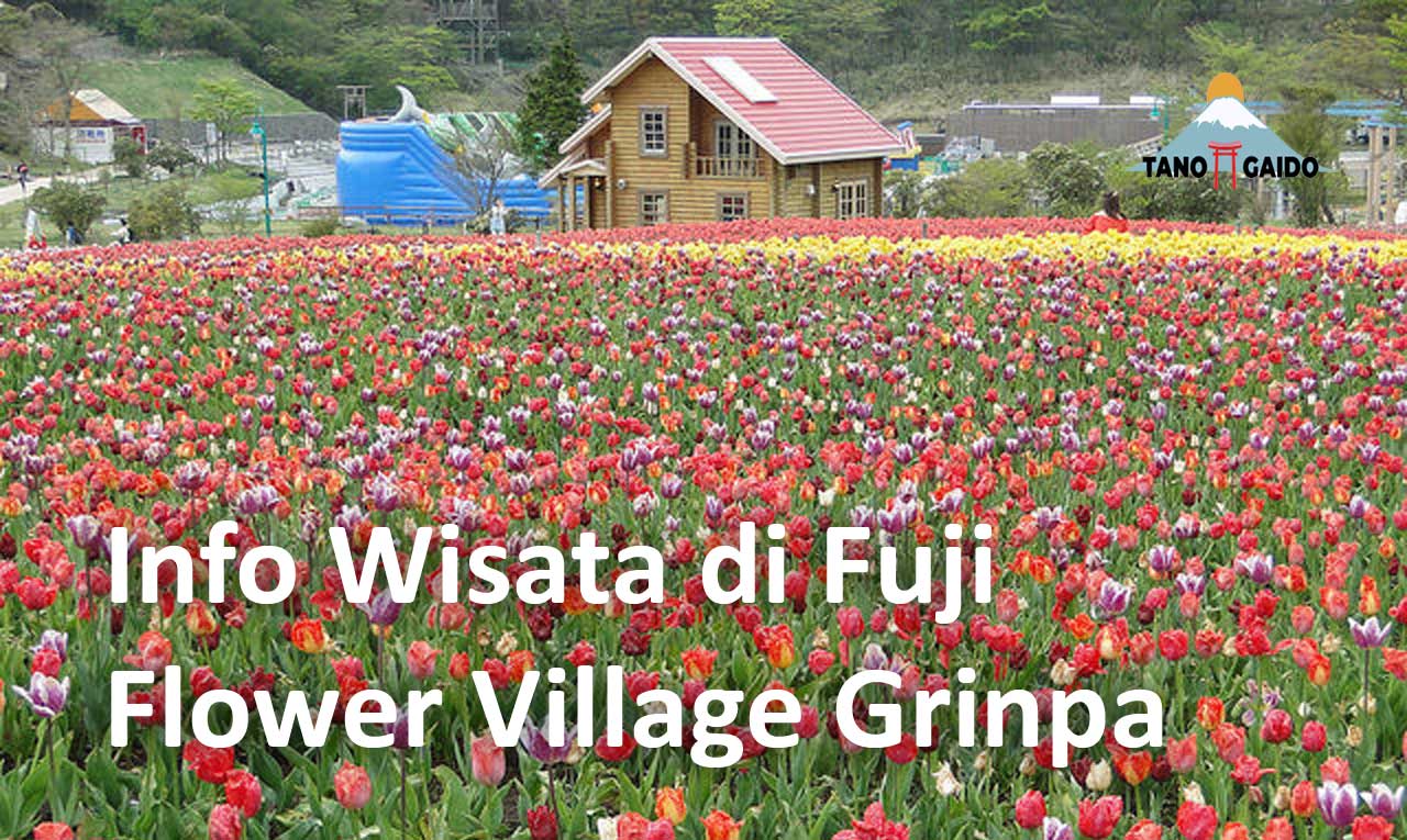 Fuji Flower Village Grinpa