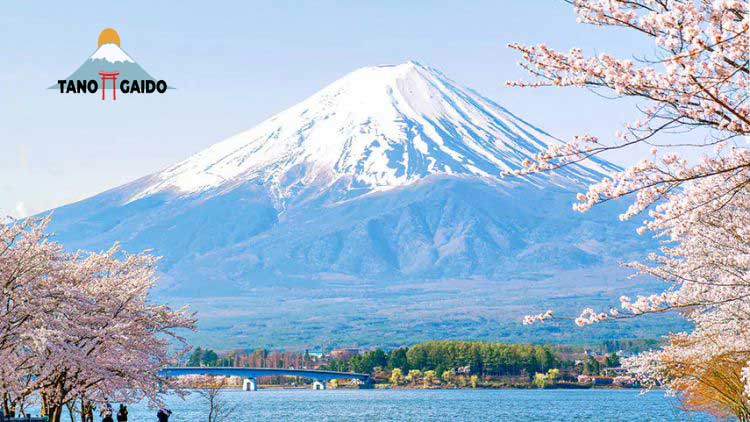 Pemandangan Gunung Fuji