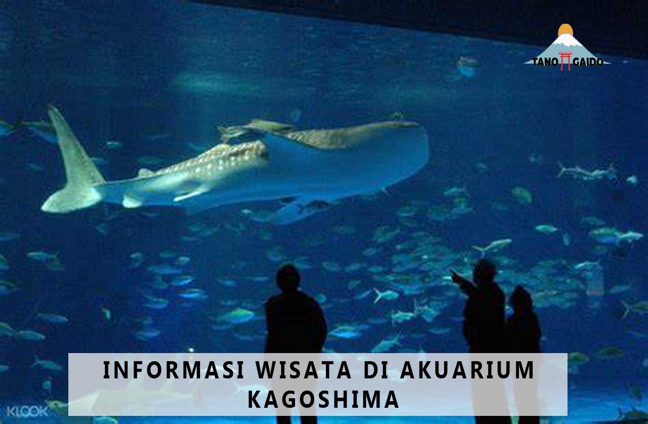 Informasi Wisata di Akuarium Kagoshima