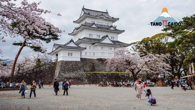 Itinerary Wisata Jepang di Kastil Odawara