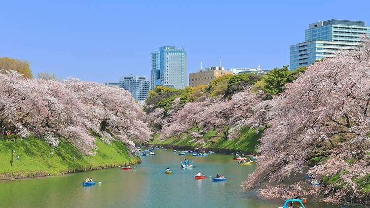 Naik Perahu di Chidorigafuchi Park