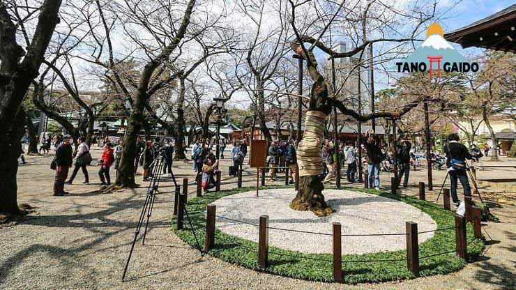 Suasana di Kuil Yasukuni Jinja