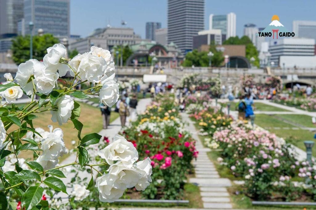 Taman Nakanoshima