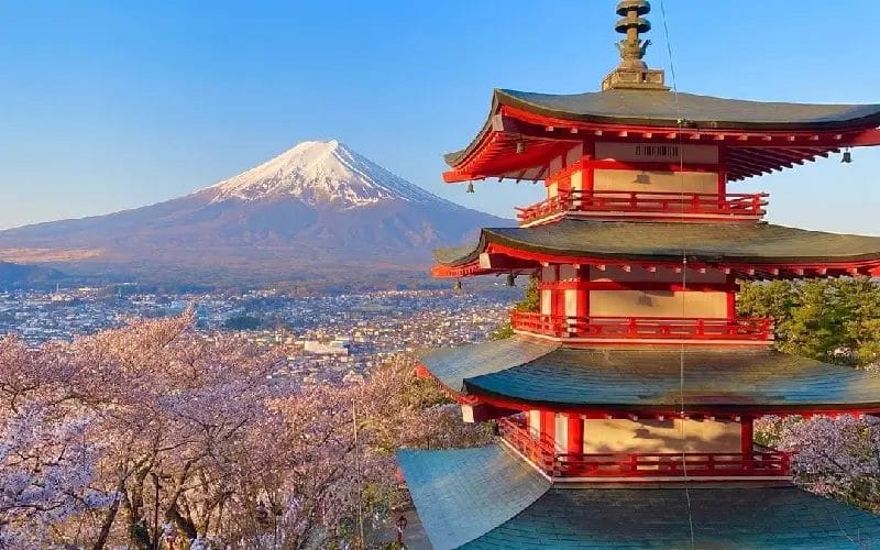 gunung fuji - tanogaido