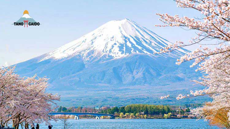 Gunung Fuji