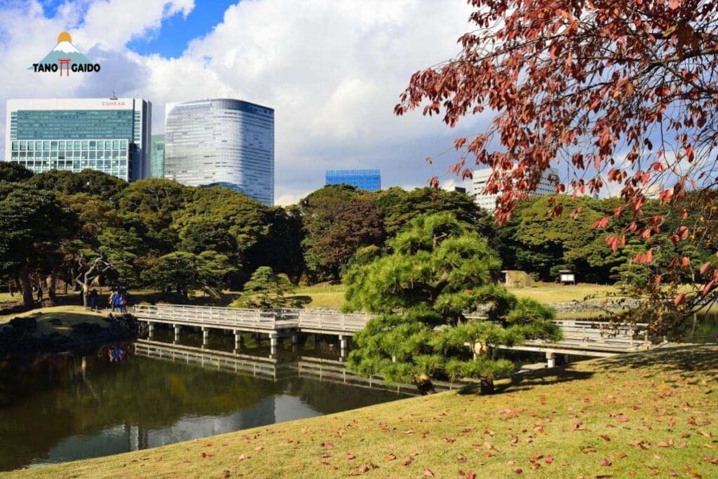 suasana musim gugur di Taman Hamarikyu