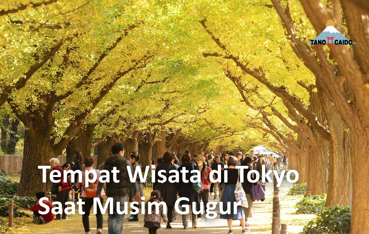 Tempat Wisata di Tokyo Saat Musim Gugur