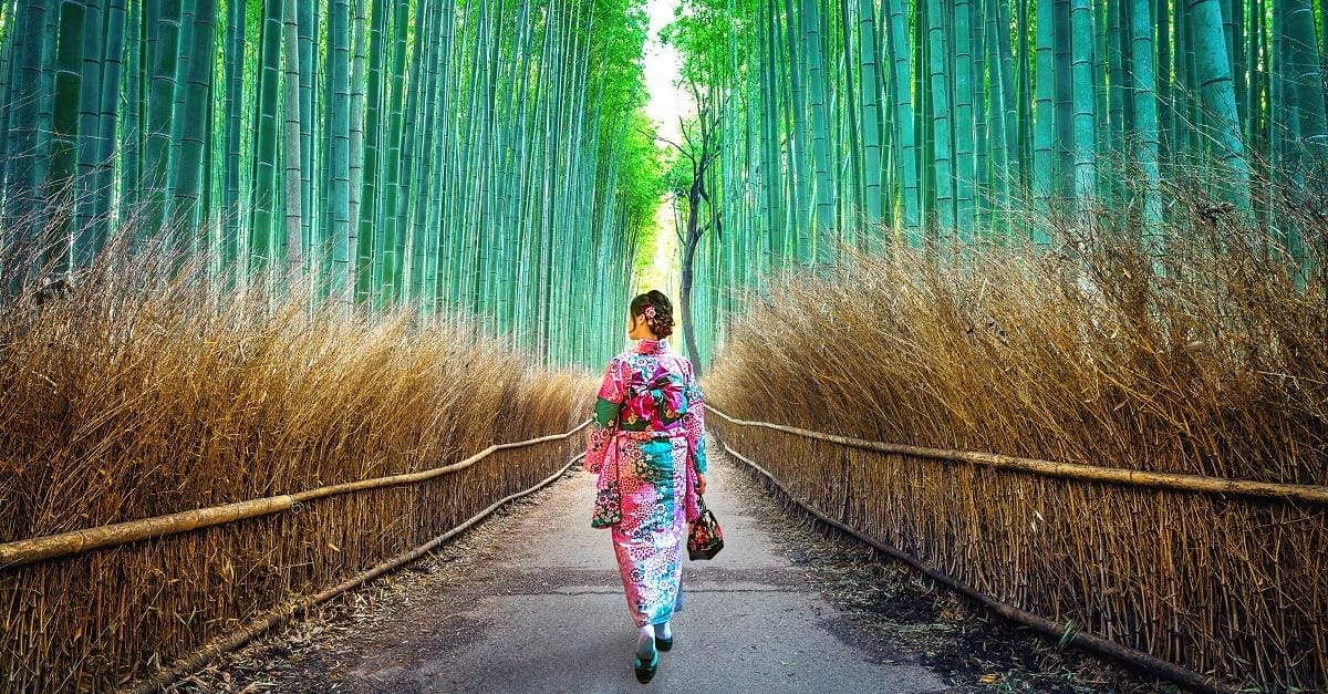 Arashiyama Bamboo Grove