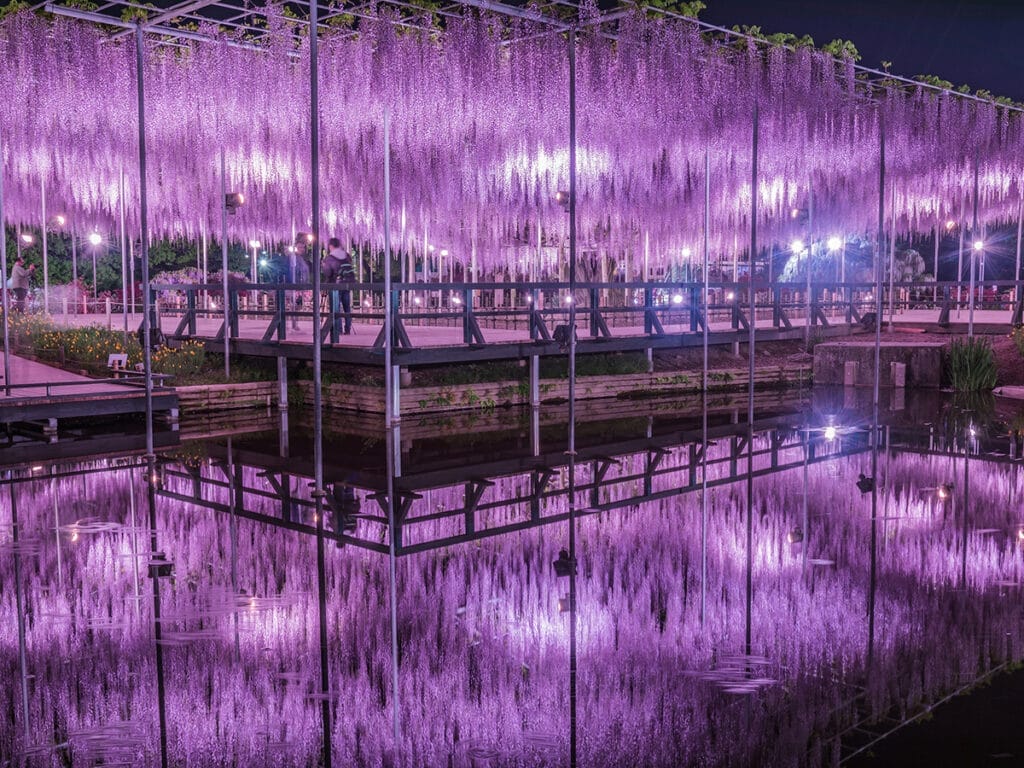 Ashikaga Flower Park