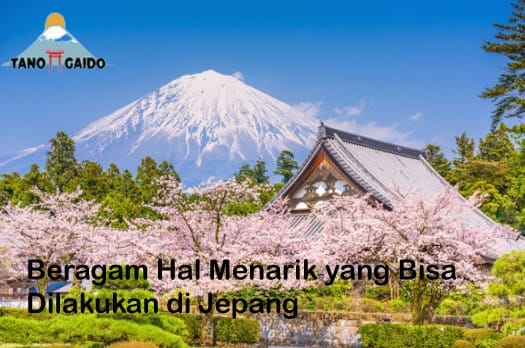 Beragam Hal Menarik yang Bisa Dilakukan di Jepang